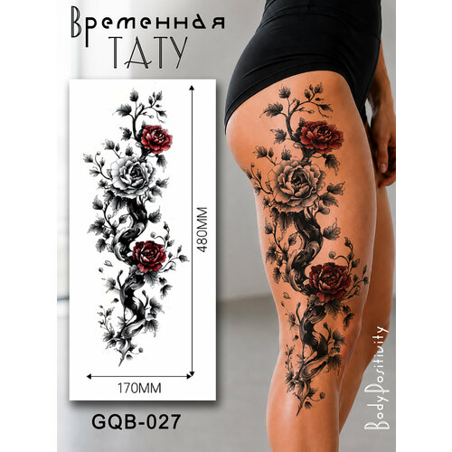 ���������� ������� ��������� ���������� (�� �������) �� ��� ����, �����. ������ 480�170��