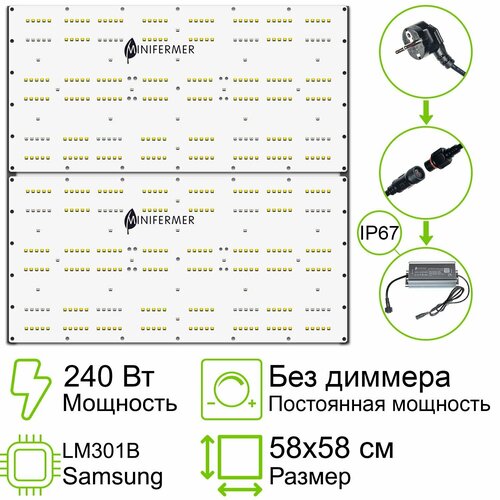  Quantum board 301b 240  (2120) MiniFermer 3559   , -, 