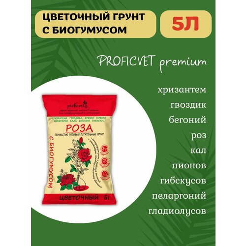 ���������� ����� ����� ��� ��� ������� ��������� 