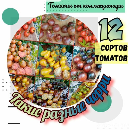 ���������� ������ �������, 12 ������ �����-�������, 120 �����