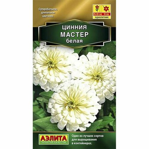 ���������� ������ ������ ������ ����� (����������) (������) 12��