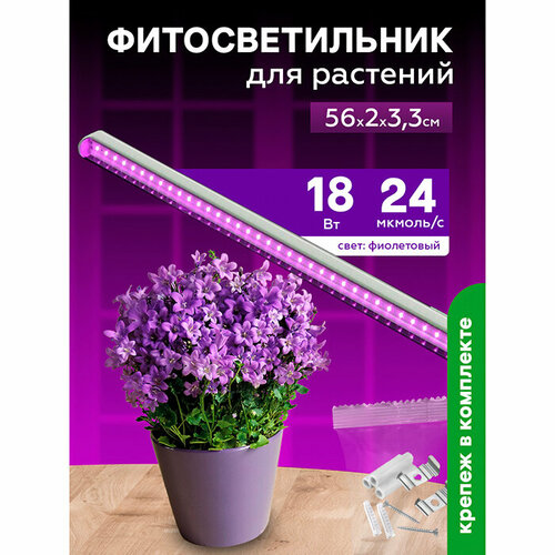 ���������� ��������� ��� �������� ��������������� 18 ��, ������ ��� ������� � �������� 560 �� � ������������ ���������� ����