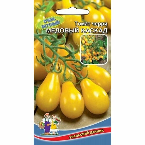 ���������� ������ ����� ������� ������, ������������, 12��