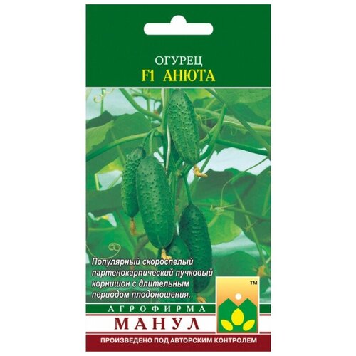 ���������� ������ ����� 