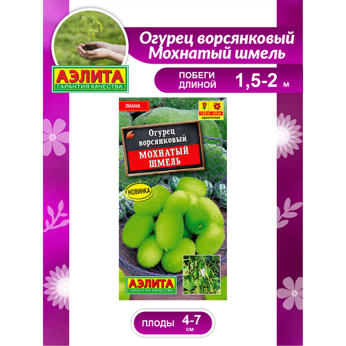 ���������� ������ ������ �������� ����� 10 ��.