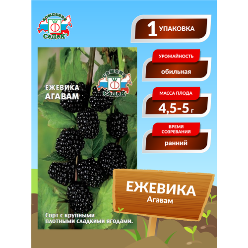 ���������� ������� 