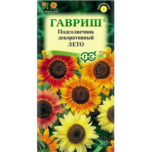 ���������� ������������ ������������ ����, 1 �����, ������ 0,5 ��, ������