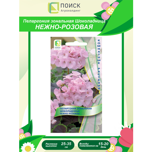 ���������� ������ ���������� ��������� ����������� �����-������� ��������� 5 ��.