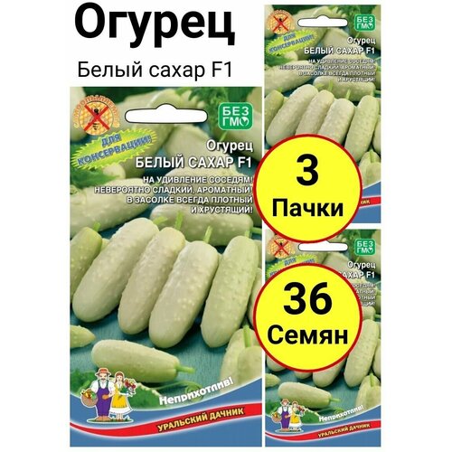 ���������� ������ ����� ����� F1, 12 �������, ��������� ������ - 3 �����