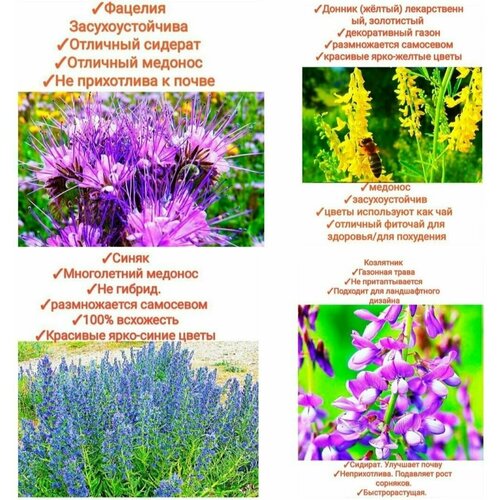 ���������� ����� ���������� ����/���������,800��(������+�������+�����+���������)