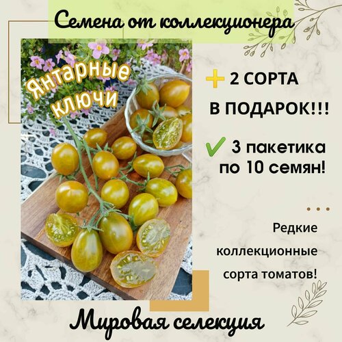 ���������� ����� �������� �����, �����, �����������, ������������ ��������, ������ �� �������������