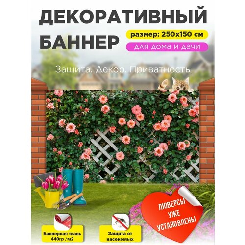 ���������� ��������� ������ �� ����� � ��������� 250�150 ��