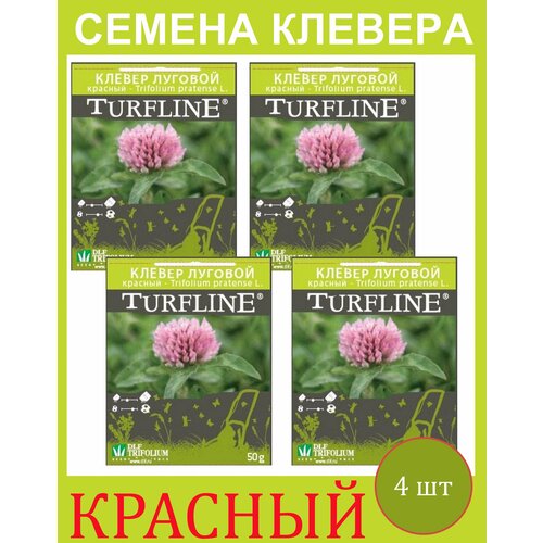         Trifolium Protense L TURFLINE DLF 0.2  (0,05 . - 4 )