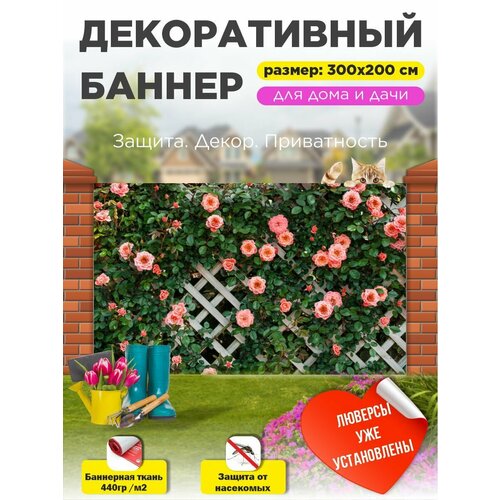 ���������� ��������� ������ �� ����� 300 �� � 200 �� � ���������