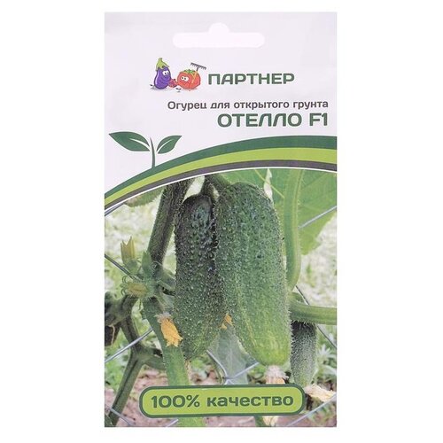 ���������� ������ ��������� ������� ������ ������ F1 10 ��