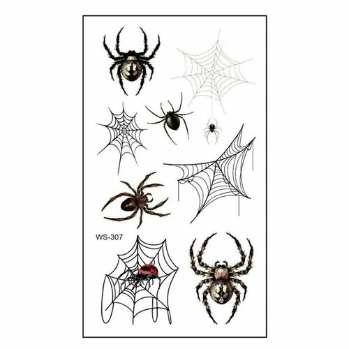 ���������� ���������� ���� ��������� ����� ��������