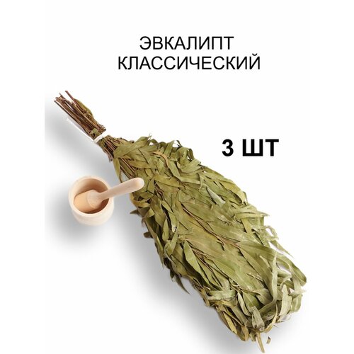 ���������� ����� ��� ���� 