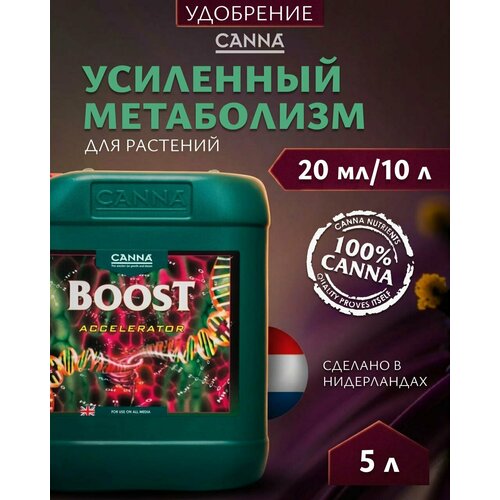 ���������� ��������� ��� ����������� �������� Canna Boost Accelerator 5 �.