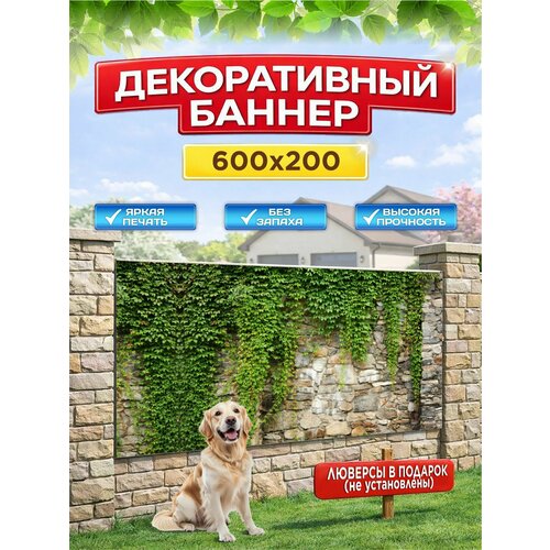 ���������� ������������ ������ ��� ������, �������, 600�200 �� � ���������