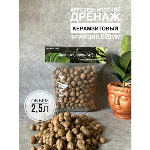 ���������� �������� ��� �������� 2,5 ������, ������ ��� ������ Terracotta Plant, ��� ��������� ��������, ������� 10-20��