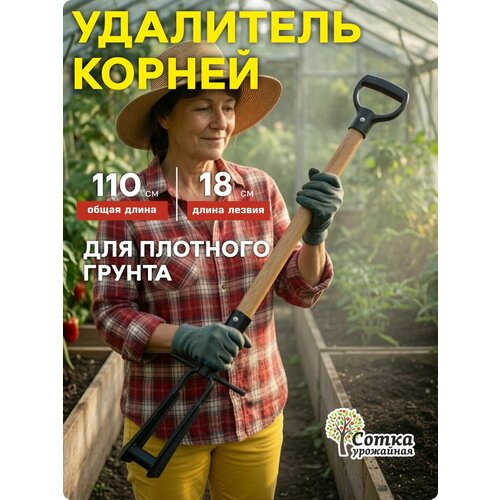 ���������� �������������� ��� �������� �������� `��������� �����` ������� � ���������� �������� � V ������
