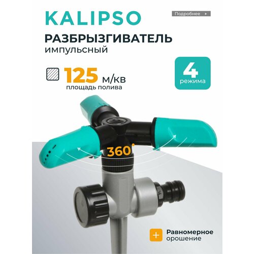 ���������� Kalipso ��������������� ���������� ���������������, 4 ������