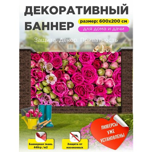 ���������� ��������� ������ �� ����� � ��������� 600�200 ��