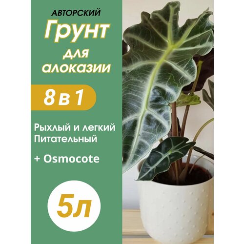 ���������� ����� ��� �������� 5�