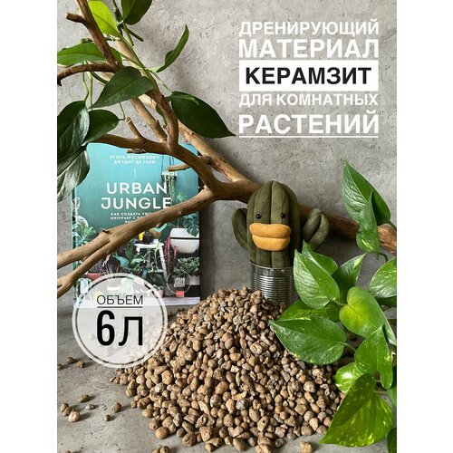 ���������� �������� ��� �������� 6 ������, ������ ��� ������ Terracotta Plant, ��� ��������� ��������, ������� 4-10��