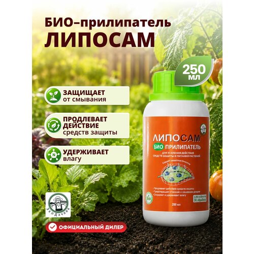 ���������� �������������� ��������� ������� II ������, 250 ��