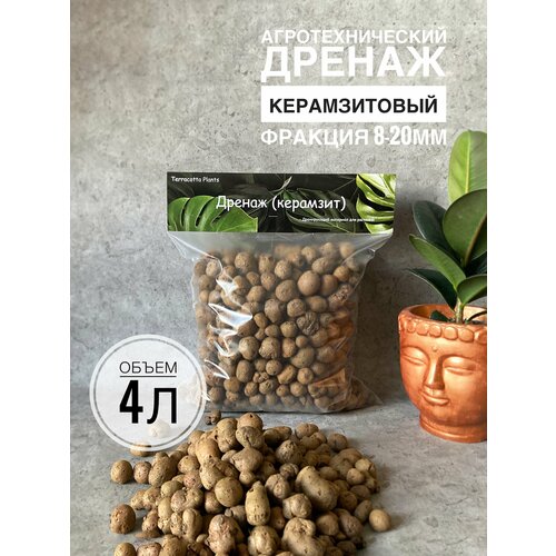 ���������� �������� ��� �������� ������ 4 ����� �������, ������� 8-20�� Terracotta Plants, �������� �������