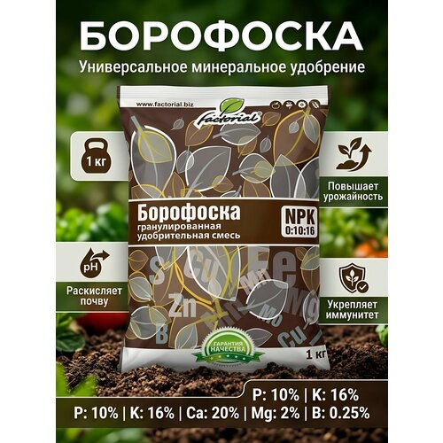 ���������� ��������� ��������� Factorial ����������� ��������������� 1 �� ��� ����� �������� ������������� ������� ��� ���� � �������