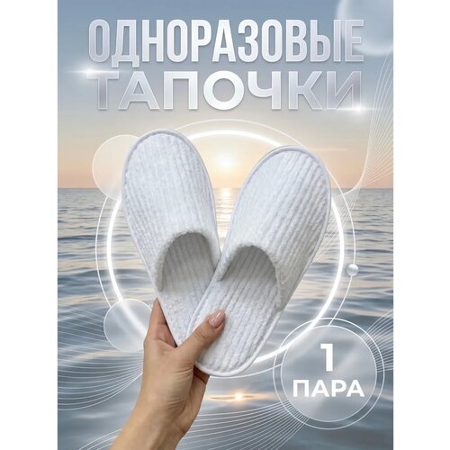 ���������� ������� Waquedo, �����������, �������, ��� �������� � ���-�������, �����, 1��