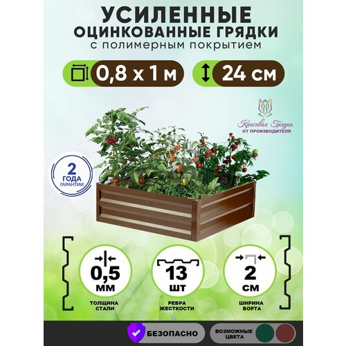 ���������� ������ ������������ �� ���� ��������� 1�0,8 ����� / ���������� ������������� ��� ������ ���� ������ � ������� ������� / ������ ��� ���� � ������� ������ ����� 24 ��