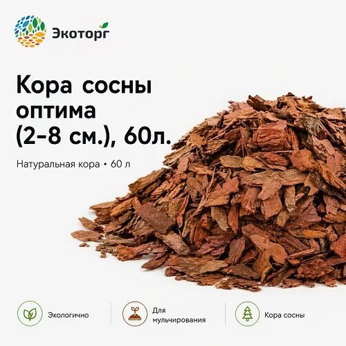 ���������� ������ �� ���� ��������� ����� ������� 2-8 �� �������� �� 10 ������ �� 60 � �������