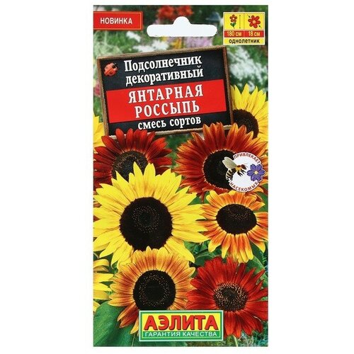 ���������� ������ ������ ������������ ������������ 