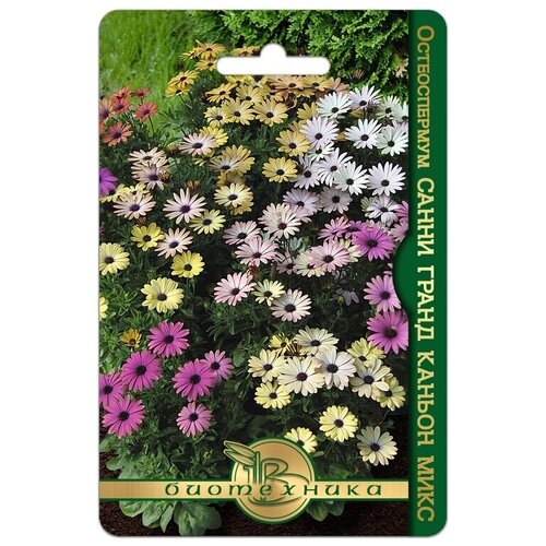 ���������� ������ ������������� 