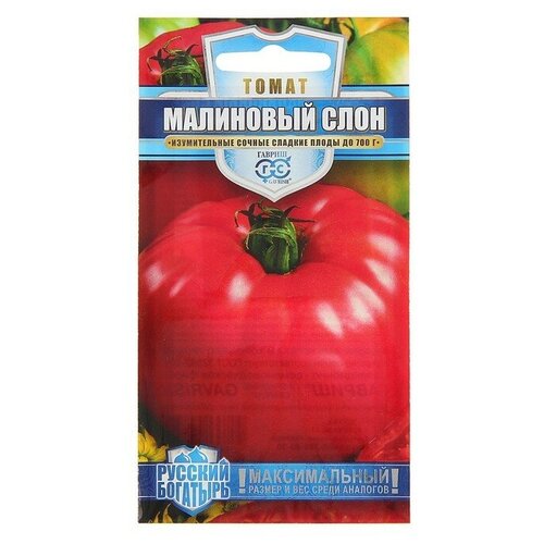 ���������� ����� ��������� ���� (������)