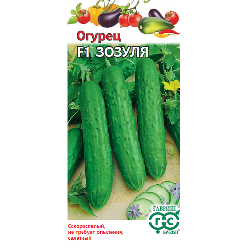 ���������� ������ ������ ������ F1 10�� ������������������ ������ (������)