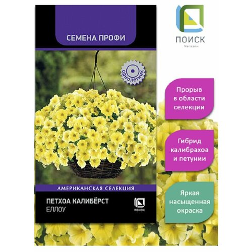 ���������� ������ �������� ����� 5 ����� /�����