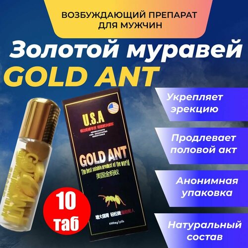 Gold Ant,     ,  ,     , -, 