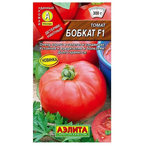 ���������� ������ ��������� ������ ����� ������ F1 15 ��.