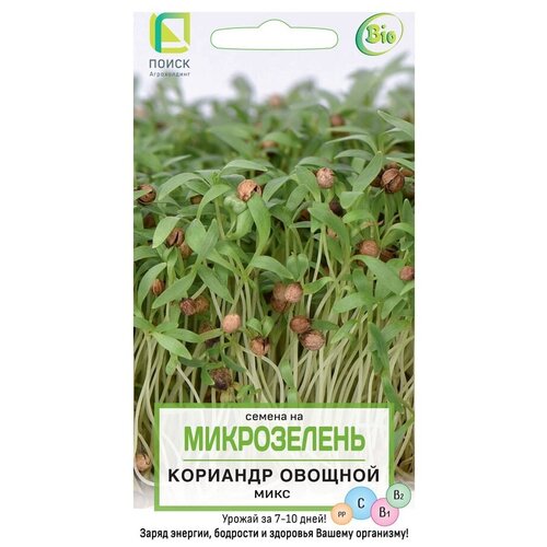 ���������� ������ ����� ����������� �������� ������� ����, 5�, 4 ��.