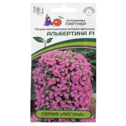 ���������� ��������� ������� ������ ������ ������� 