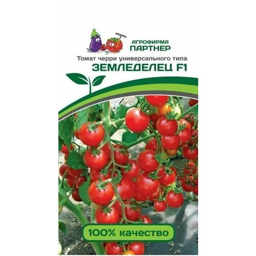 ���������� ����� ����� ���������� F1 ������ ������� (1 ��������-0,05 � �����)