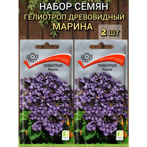 ���������� ������ ������ ����� 