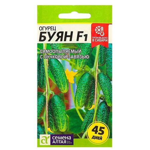 ���������� ������ ������ 