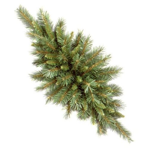 National Tree Company    76 ,  31TF30C   , -, 