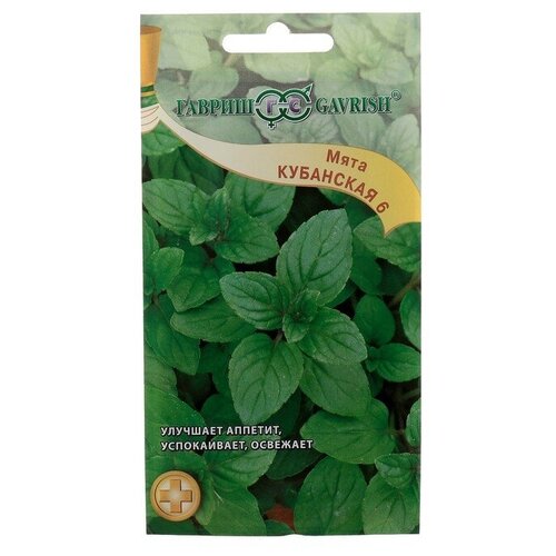 ���������� ������ ������ ���� �������� 