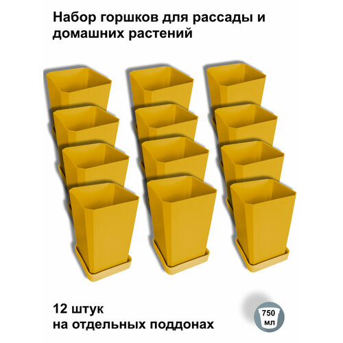 ���������� ������ ��� ������� � ������, 12 ���� �� ��������� ��������, ������